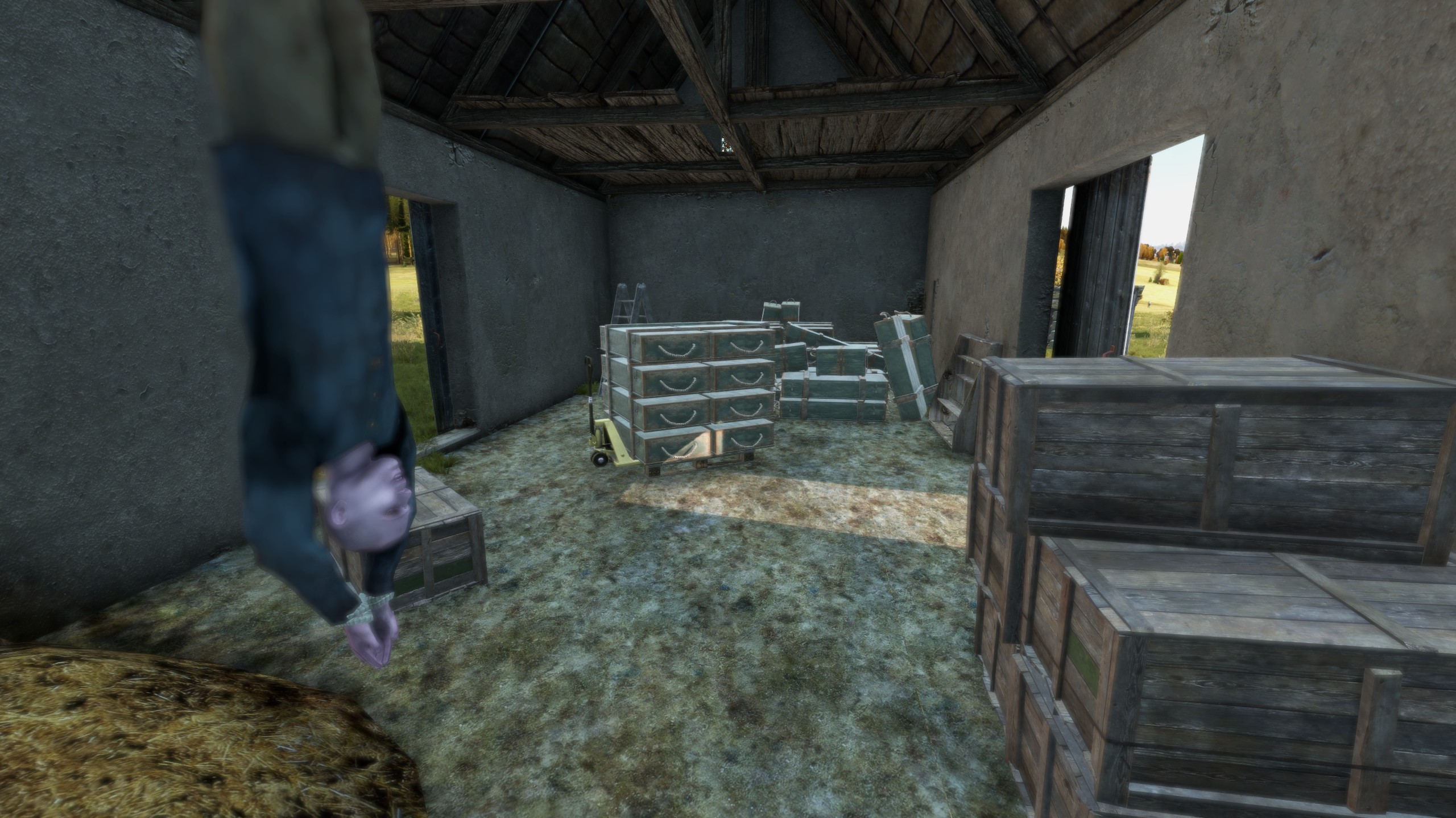 Remnant OverPoch DayZ gameplay screenshot