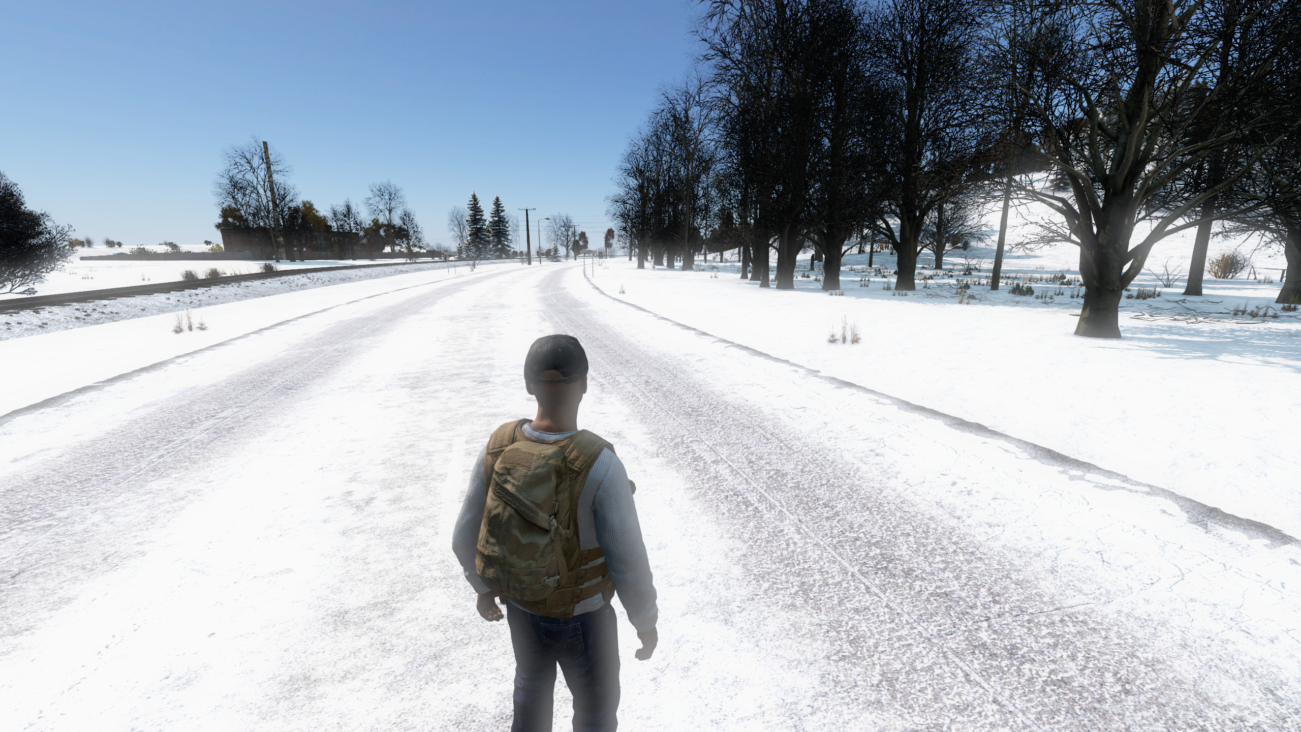 Winter in Remnant OverPoch